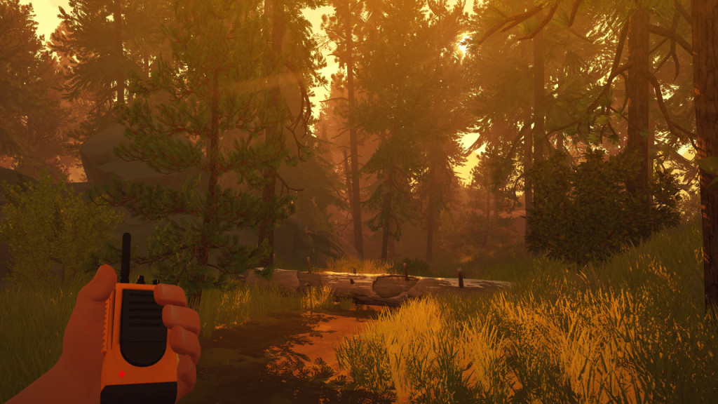 Games-2016-Firewatch-Classe-Nerd